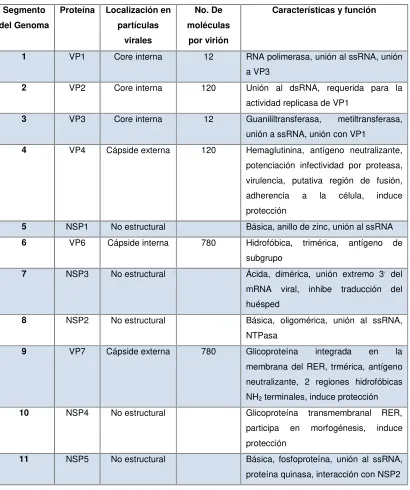 Tabla 1. Propiedades de las proteínas constituyentes del Rotavirus  