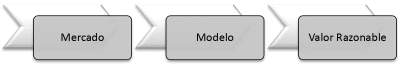 Figura 2 (representa los dos primeros modelos en la jerarquía del VR en la NIIF para PYME)