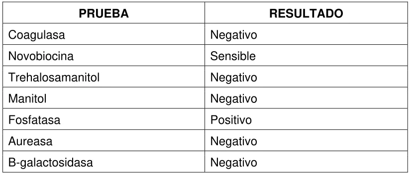 Tabla 2. Pruebas de identificación de Staphylococcus epidermidis 