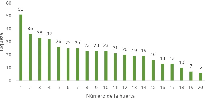 Figura 5. Número de variedades por especie registradas en las huertas familiares del municipio de San Pablo, 
