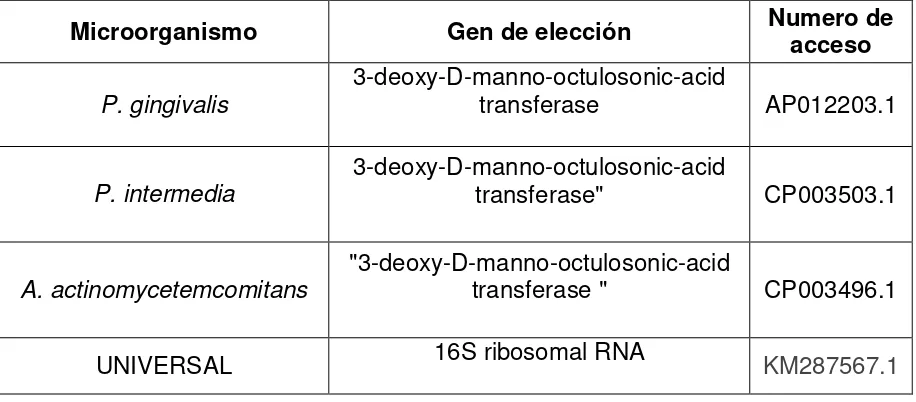 Tabla 2: Microorganismos de interés y número de acceso al GenBank 