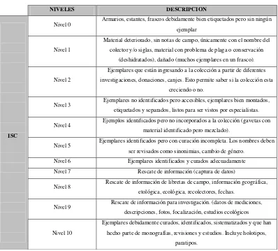 Tabla 2. Niveles de evaluación de curaduría e investigación. Fuente: Elaborado con 