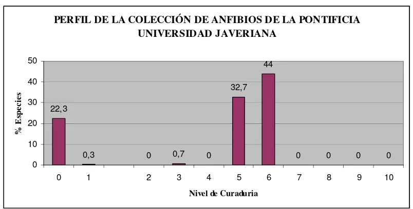 Figura 1b. Perfil Ideal de la una Colección. Fuente Simmons & Muños (2005). 