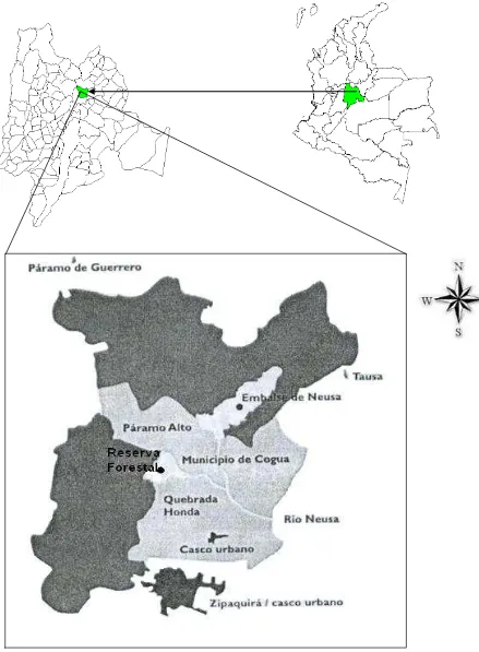 Figura 3. Ubicación del área de estudio. Reserva Forestal Municipal de Cogua 5° 4´N y 74° 00´O 