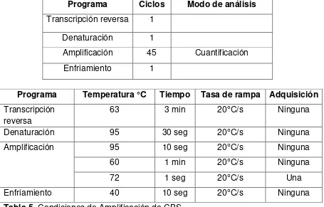 Tabla 4. Condiciones estandarizadas de la PCR en tiempo real para cada gen. 