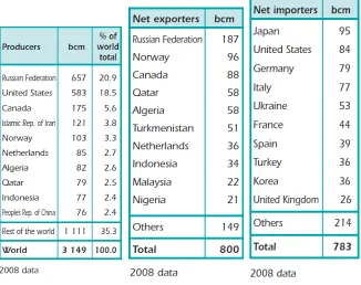 Fig. 8. Los productores, exportadores e importadores de gas. 