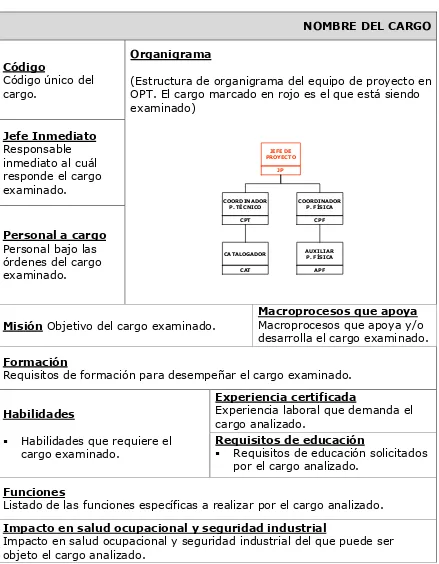 Cuadro 10. Esquema modelo del equipo de proyecto en OPT  