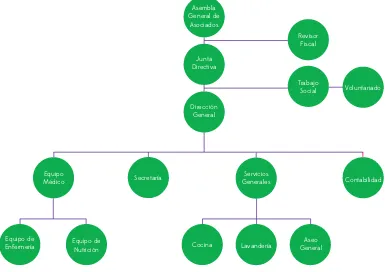 Figura 10: Organigrama de la Fundación Hogar Geriátrico San José 