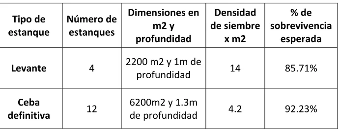 Tabla 3. Especificaciones del proyecto. 
