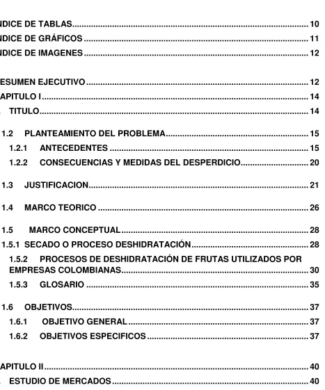 TABLA DE CONTENIDO 