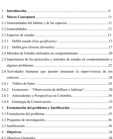 TABLA DE CONTENIDO