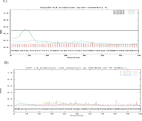 Figura 2. Predicciones de péptido señal. A) Predicción con SignalP 3.0 (HMM). B) Predicción con SignalP 4.0 (redes neurales artificiales sin tener en cuenta regiones transmembranales)