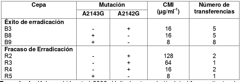 Tabla 3. Mutación puntual en el gen 23S RNAr, su CMI y el número de 