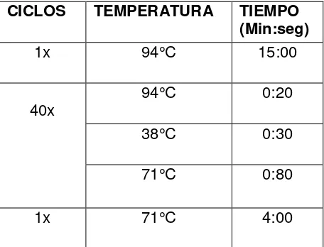 Tabla 2. Preparación de la mastermix de acuerdo con las condiciones del protocolo de Multimetrix