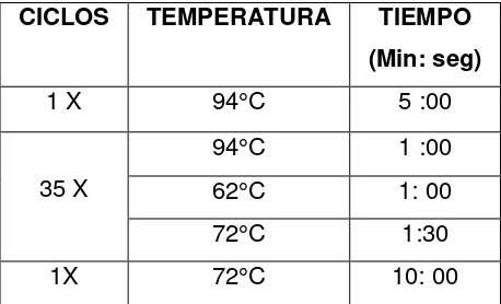 Tabla 10. Condiciones finales de la PCR para el estado físico de VPH16.  