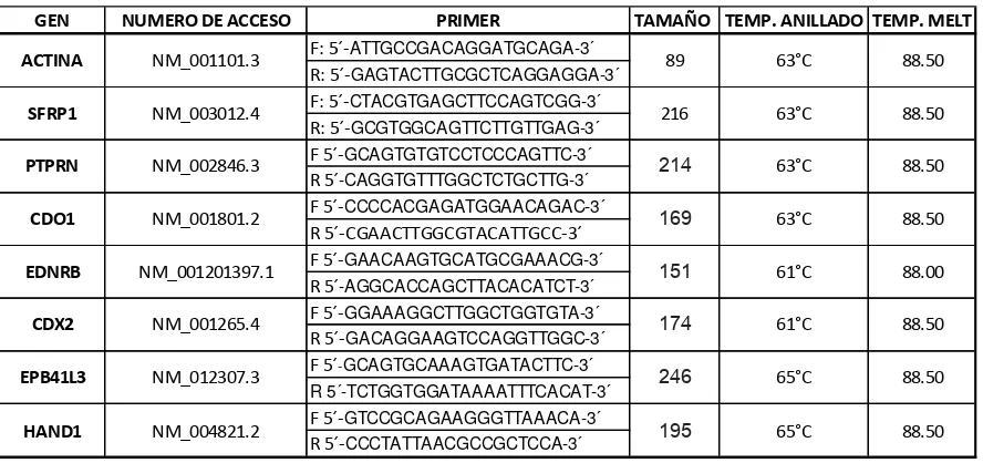 Tabla 3. Primers y condiciones estandarizadas para cada uno de los genes. 