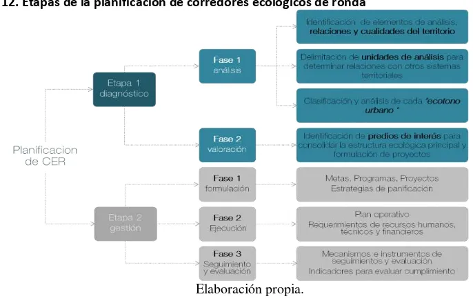 Figura 12. Etapas de la planificación de corredores ecológicos de ronda 