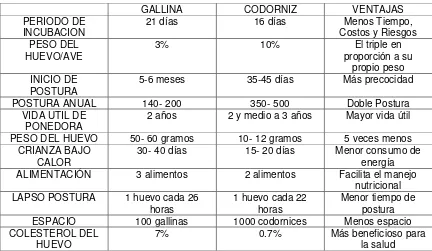 Cuadro 2. Cuadro Comparativo entre Gallina y Codorniz. 