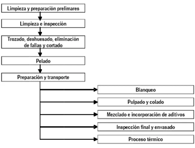 Figura 4.