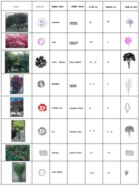 Tabla de especies vegetales 