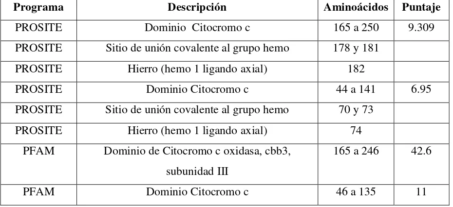 TABLA 2. Resultados encontrados a partir de la secuencia de aminoácidos de la proteína 