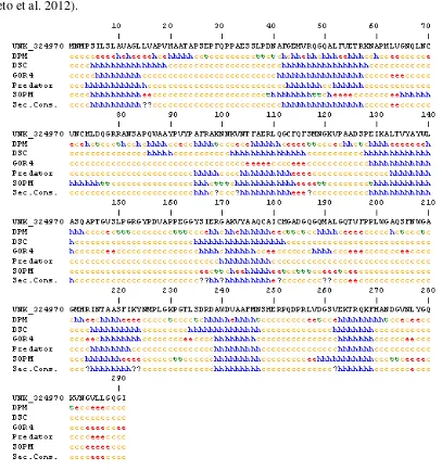 Figura 3. Estructura secundaria  de la proteína PA2481 generado por NPS@. La secuencia 