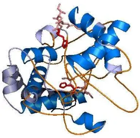 Figura 4. Modelo tridimensional de PA2481 generado por I-TASSER y visualizado con PyMOL