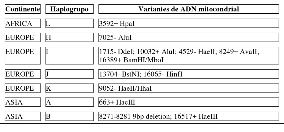 Tabla 3.  Distribución Continental de Haplogrupos.  
