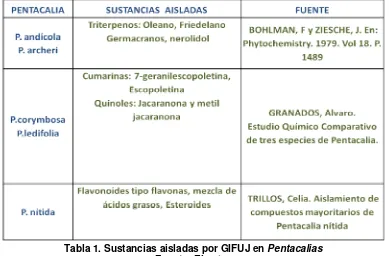 Tabla 1. Sustancias aisladas por GIFUJ en Pentacalias Fuente: El autor 