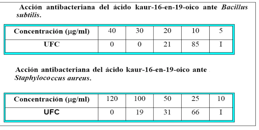 Tabla 2. Resultados pruebas antibacterianas para el ácido kaur-16-en-19-oico.  