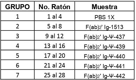 Tabla 1. Grupos experimentales e inmunógeno 