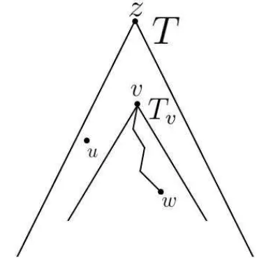 Figura 3.2. Representación de la relación v ≺ w.