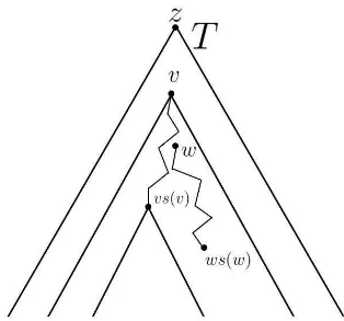 Figura 3.6. Para cualquier v ≺ w, vs(v ̸≺) ws(w).