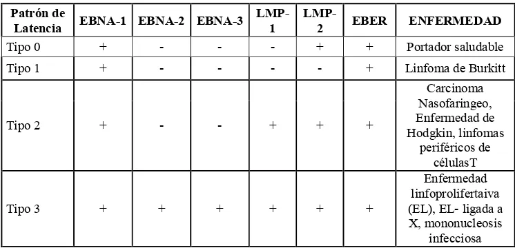 Tabla 1 Tabla de correspondencia entre el tipo de latencia del VEB, las proteínas que 
