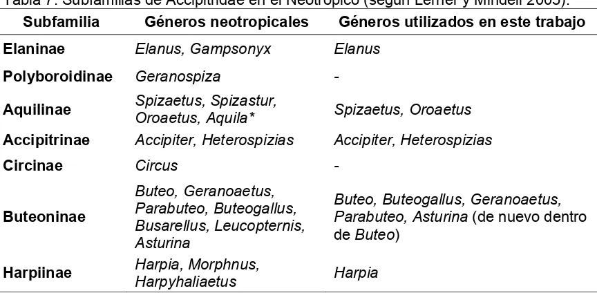 Tabla 7. Subfamilias de Accipitridae en el Neotropico (según Lerner y Mindell 2005). 