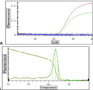 Figura 17. MITF: A. Curvas de amplificación generadas por PCR tiempo real de 