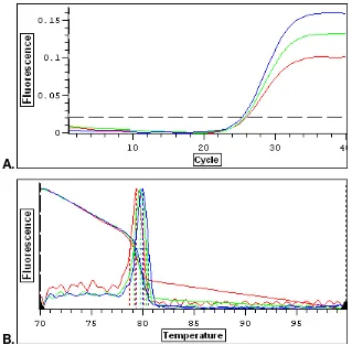 Figura 19. MITF-M: A. Curvas de amplificación generadas por PCR tiempo real 