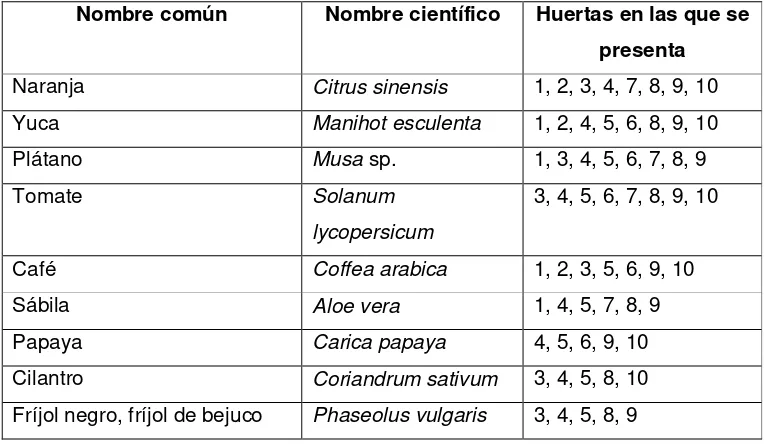 Figura 5. Correlación entre la altitud y el total de plantas en cada huerta familiar.  