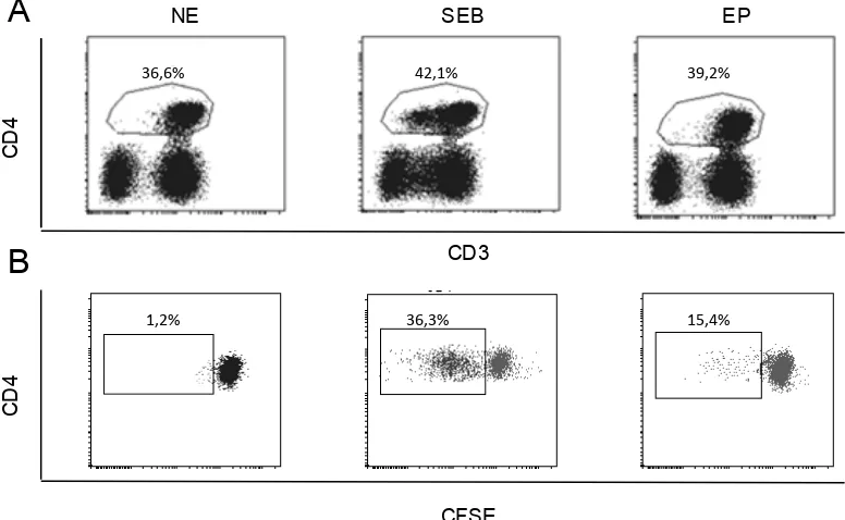Figura 10. Análisis de la actividad proliferativa de LT CD4+ en presencia o ausencia de células CD25+