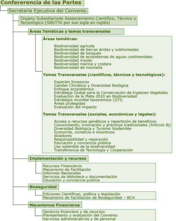 Figura 1. Esquema de Trabajo del CDB 