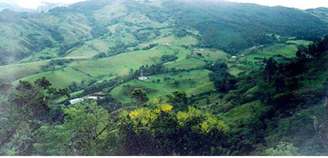 FIGURA 2  