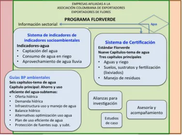 Figura 7-b. Síntesis del Programa y sus componentes 