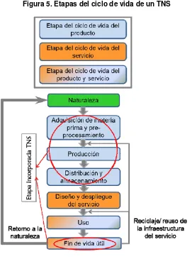 Figura 5. Etapas del ciclo de vida de un TNS 