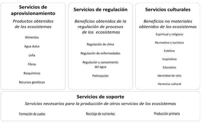 Figura 2 Clasificación de servicios ecosistémicos 