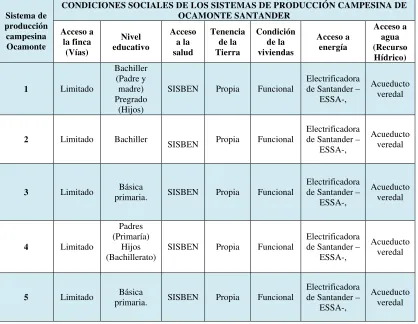 Tabla 6 Información social de los sistemas de producción campesina de Ocamonte Santander 
