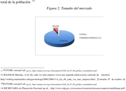 Figura 2. Tamaño del mercado  