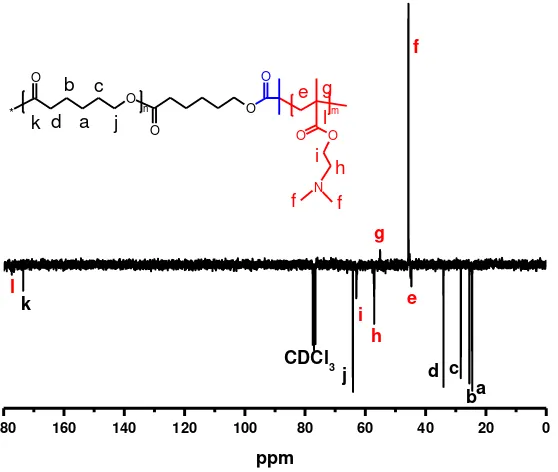 Figura 12. Espectro RMN13C APT del copolímero PDMAEMA-b-PCL-b-PDMAEMA 