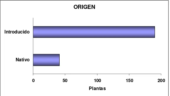 Figura 4.  Origen de las plantas encontradas en las huertas familiares, definido como introducidas y nativas