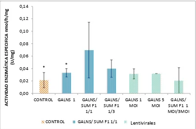 Figura 2. Actividad enzimática especifica de GALNS correspondiente a los lisados celulares de HEK293 transducidos con 