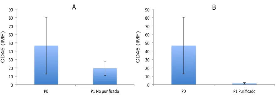Figura 3. Expresión comparativa de CD45+ en células de cultivo Primario y primer 